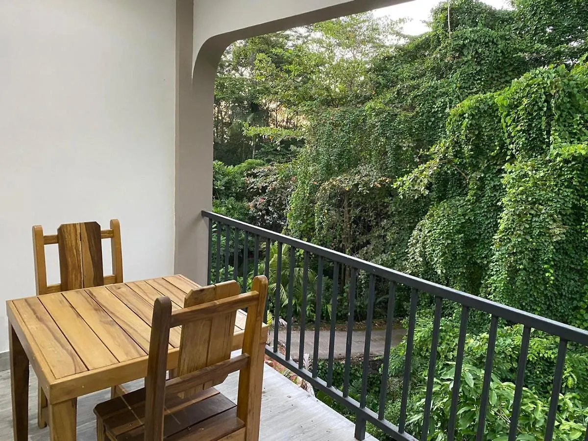Jasmine Stay Self-Catering Apartments Виктория Сейшельские острова